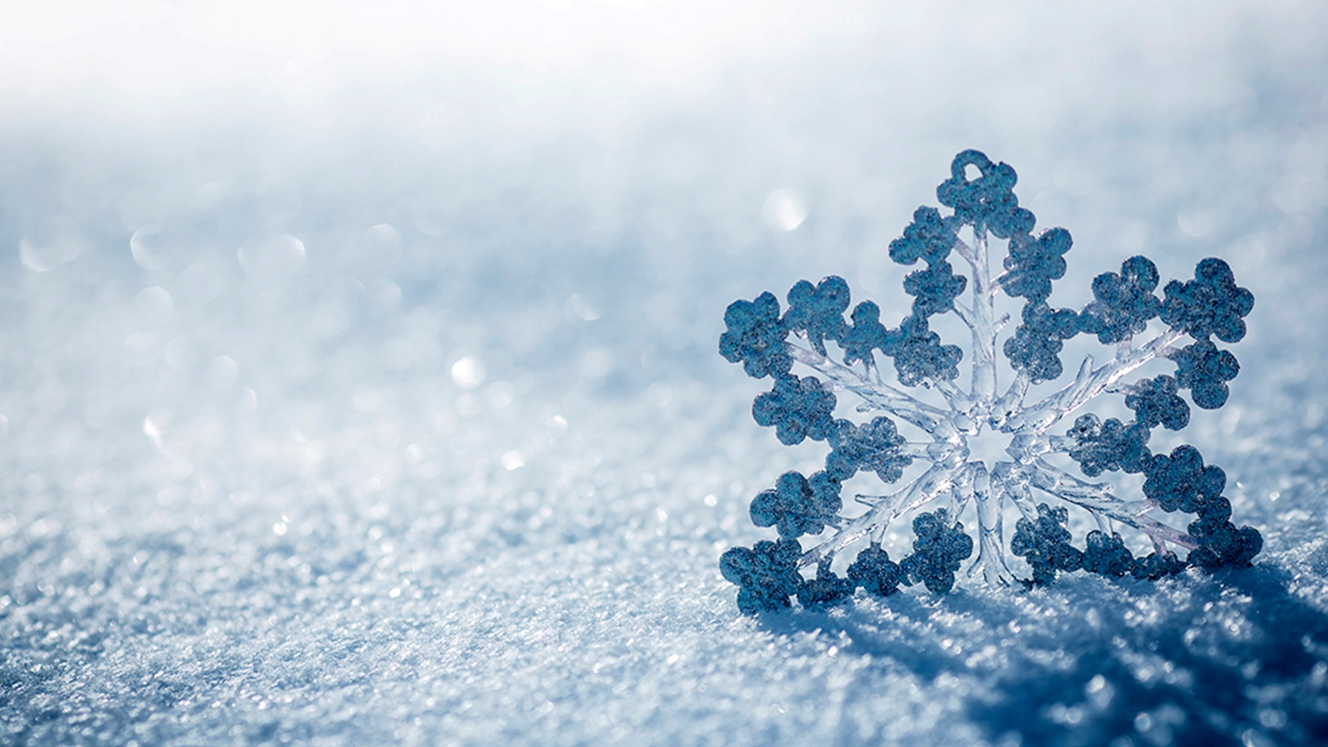 Андерсен. Загадка "Снежной королевы"