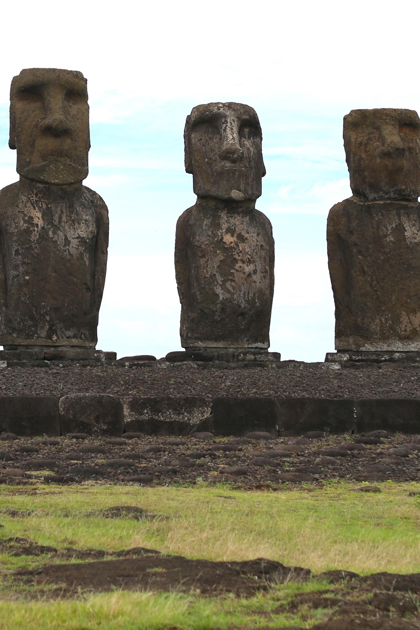 Расшифрованные сокровища