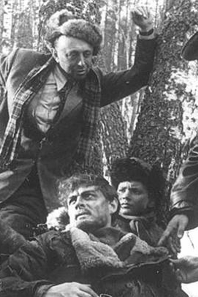 Алексей Маресьев. Судьба настоящего человека