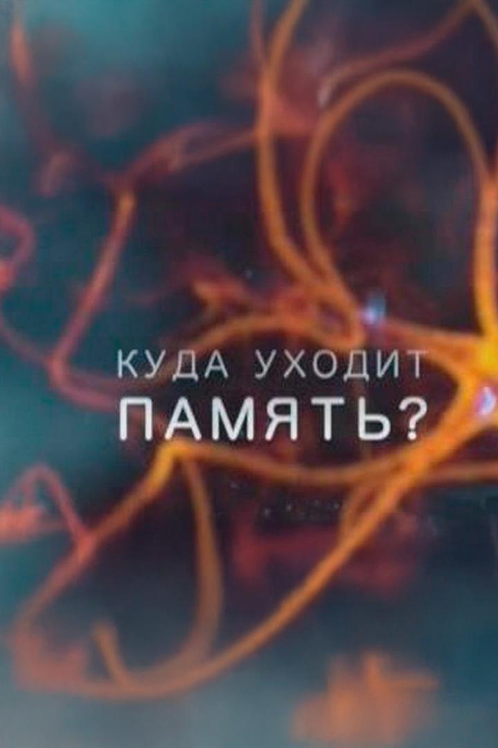 Куда уходит память?