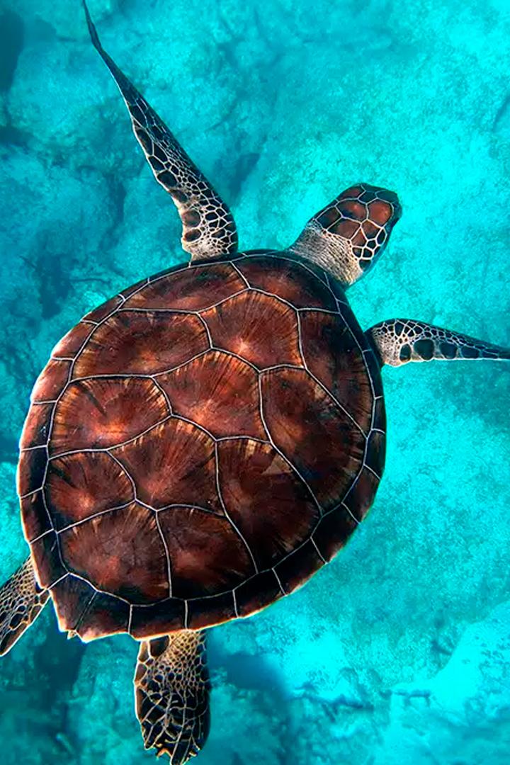 Подводная Вселенная