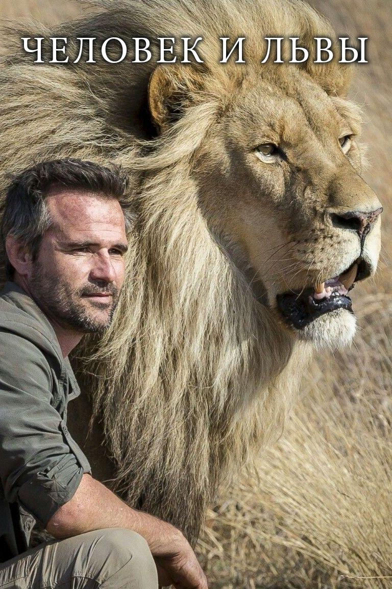 Человек и львы