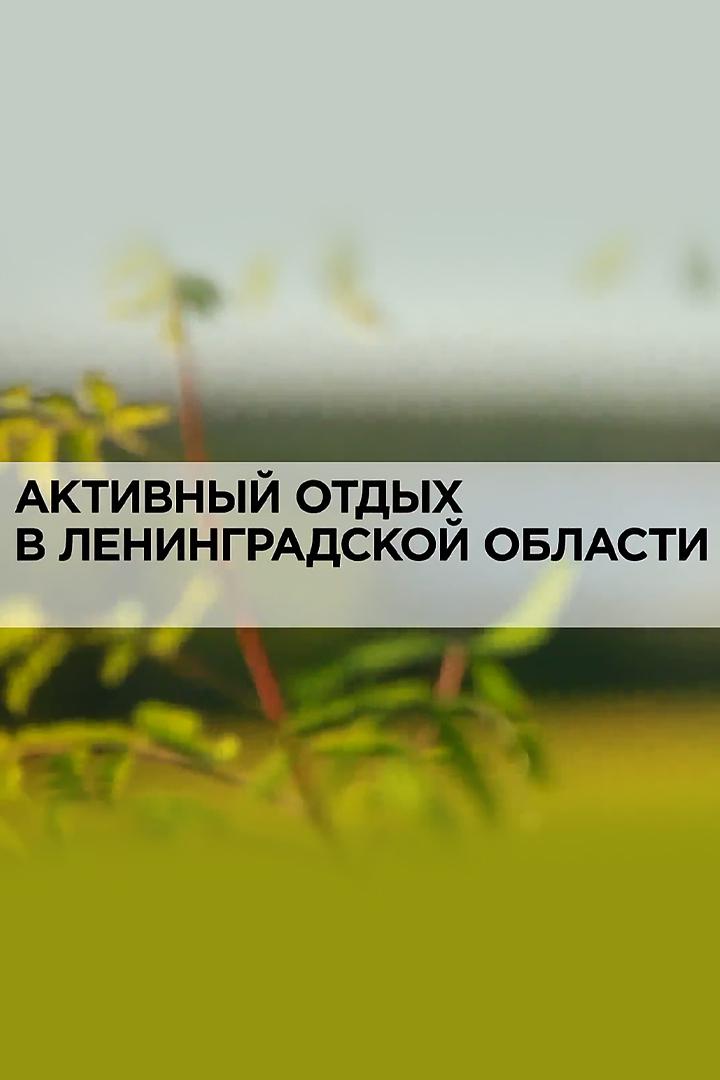 Активный отдых в Ленинградской области