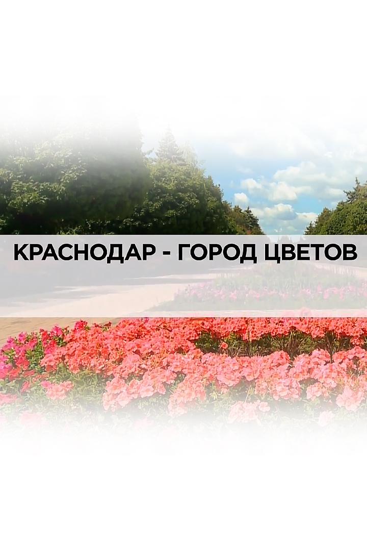 Краснодар - город цветов