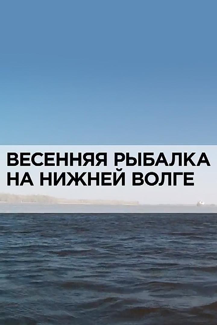 Весенняя рыбалка на Нижней Волге