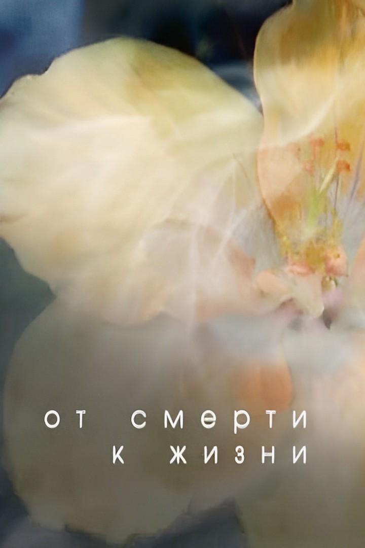 От смерти к жизни