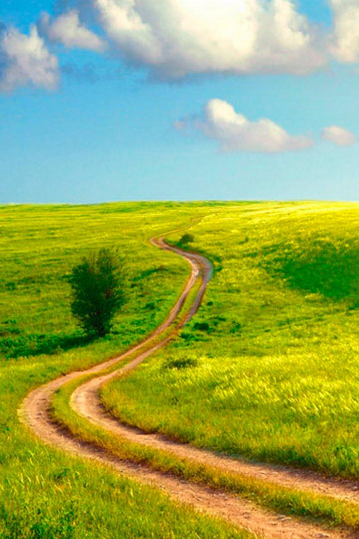 Я по земле иду