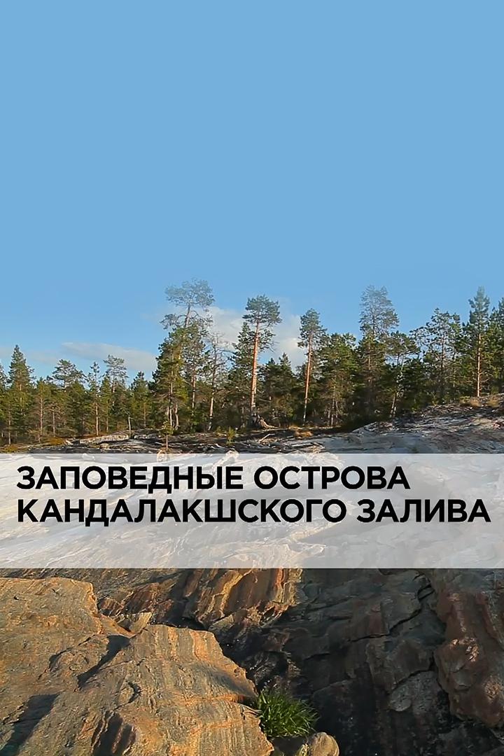 Заповедные острова Кандалакшского залива