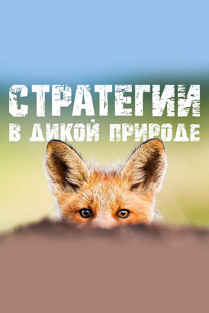 Выжить в дикой природе