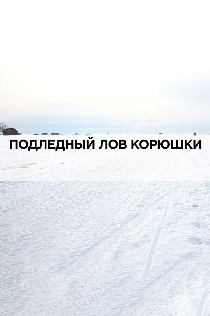 Подлёдный лов корюшки