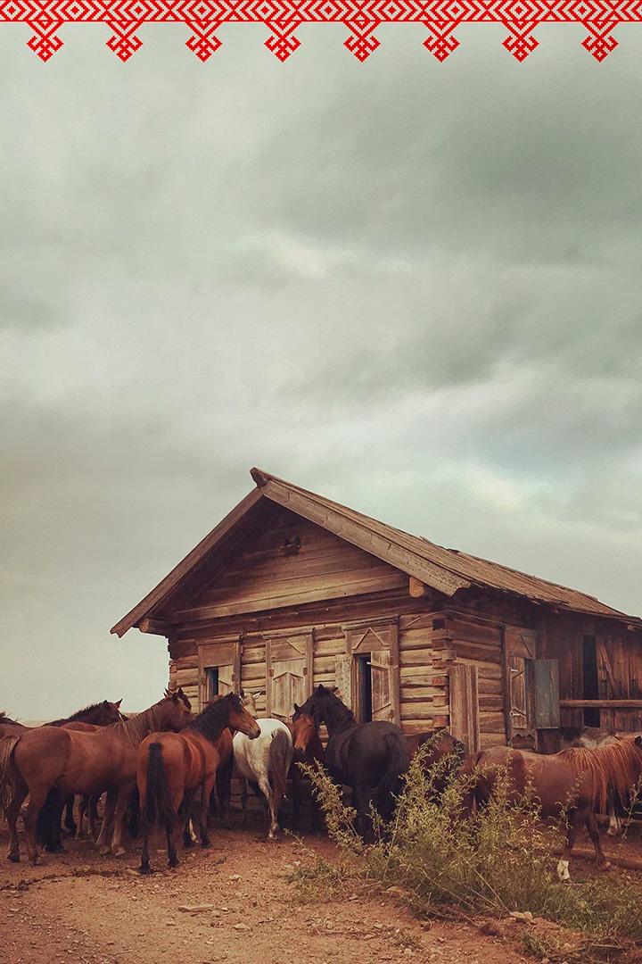 Сибирский ковчег