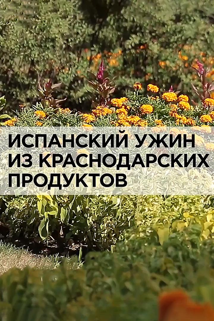 Испанский ужин из краснодарских продуктов