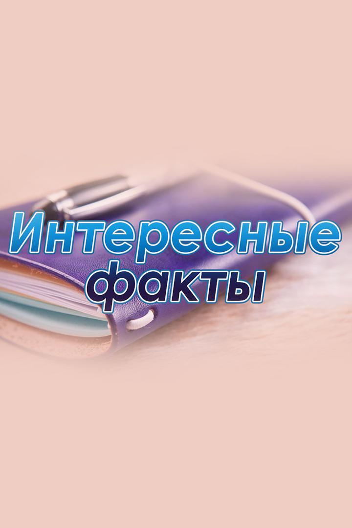 Интересные факты