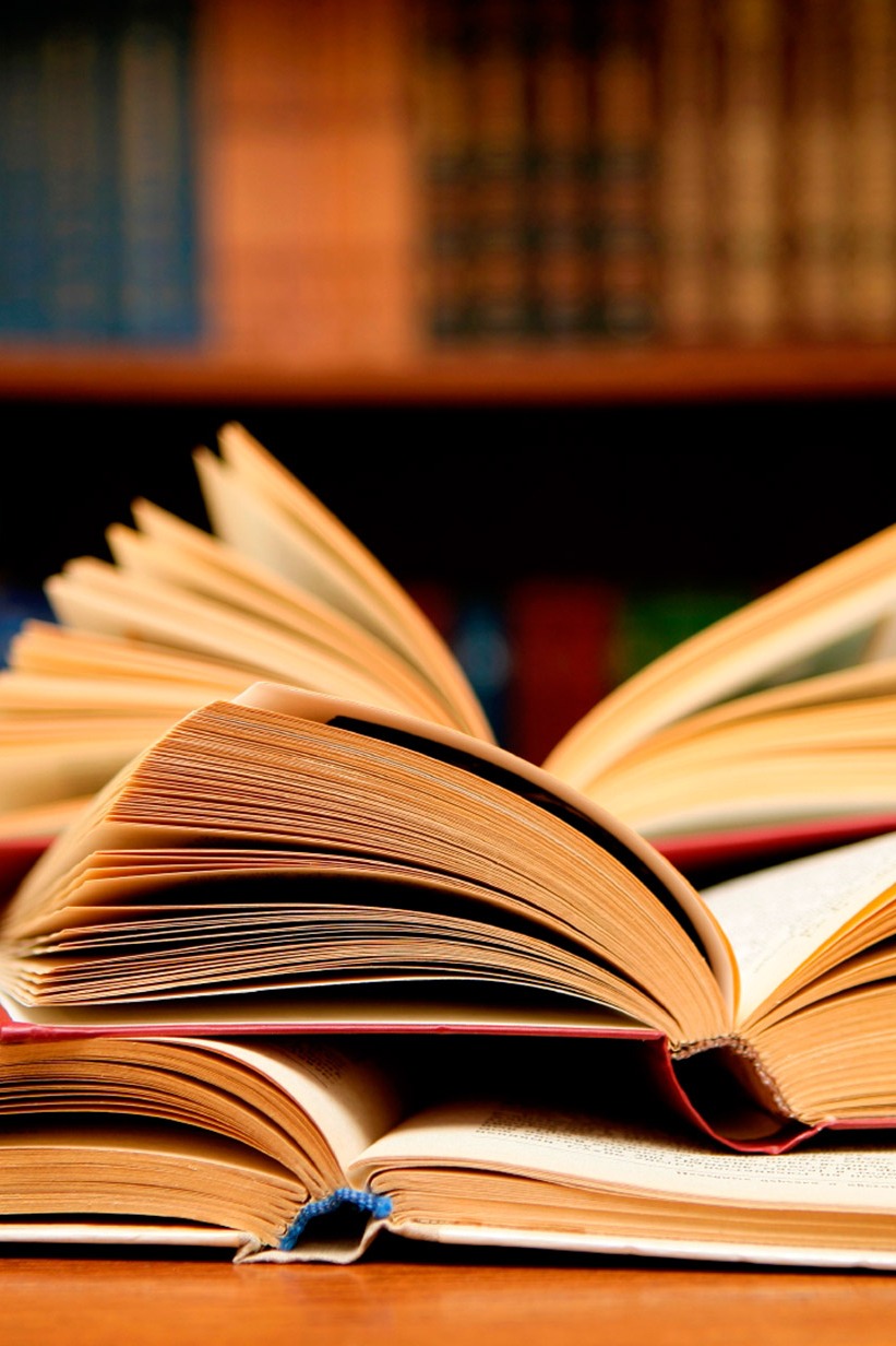 Библиотеки России