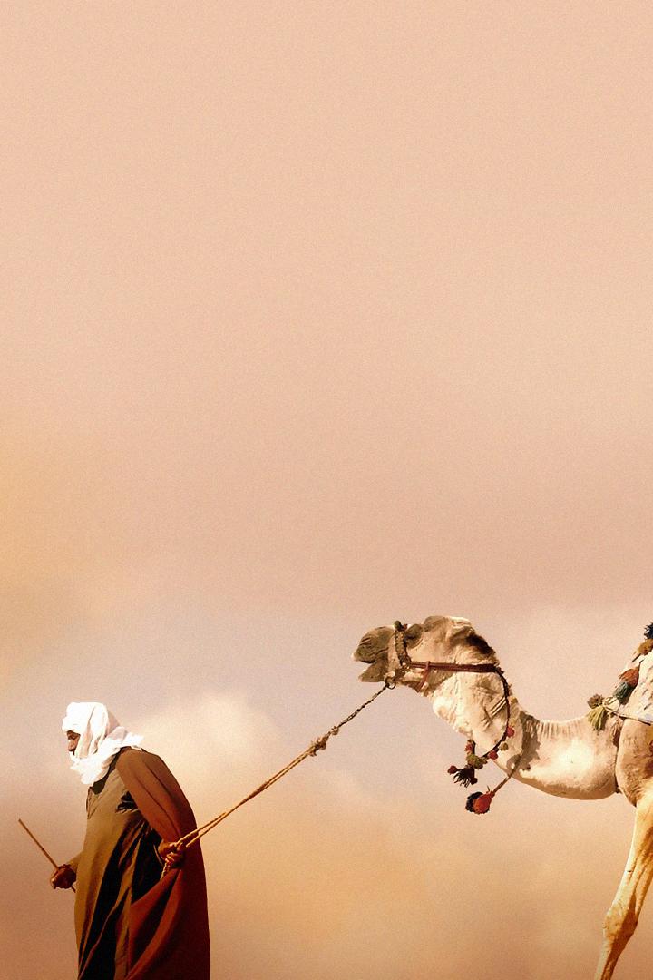 Животные, которые изменили историю