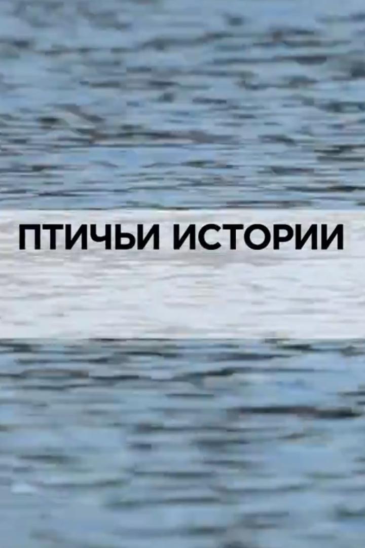 Птичьи истории
