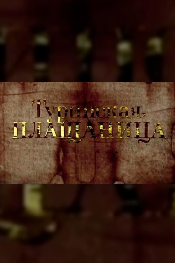 Туринская плащаница