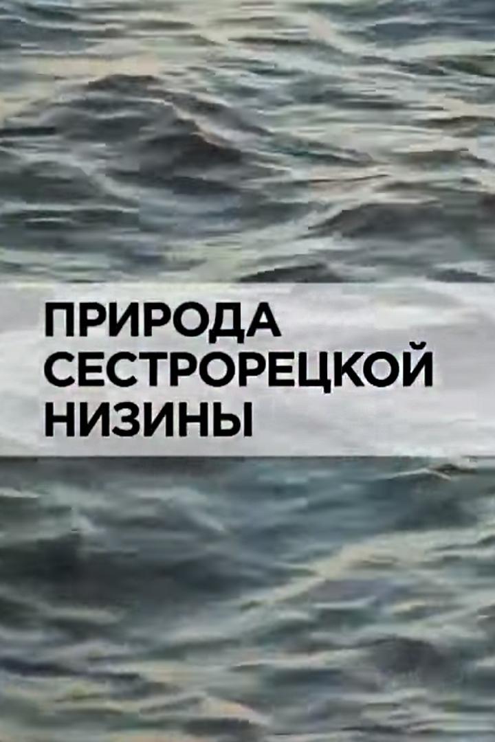 Природа Cестрорецкой низины