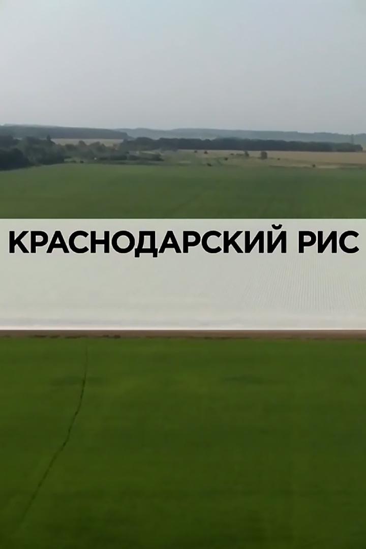 Краснодарский рис