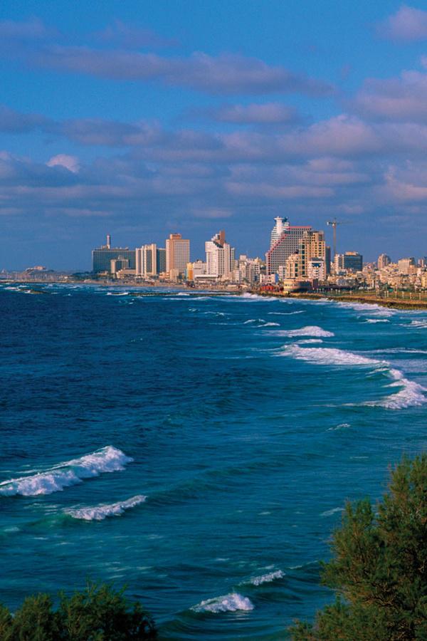 Красное море