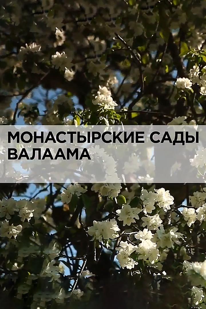 Монастырские сады Валаама