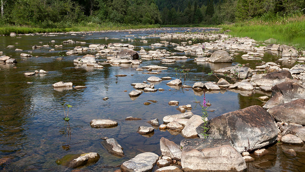 Река Тюльмень