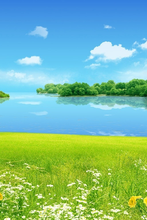 Краски лета