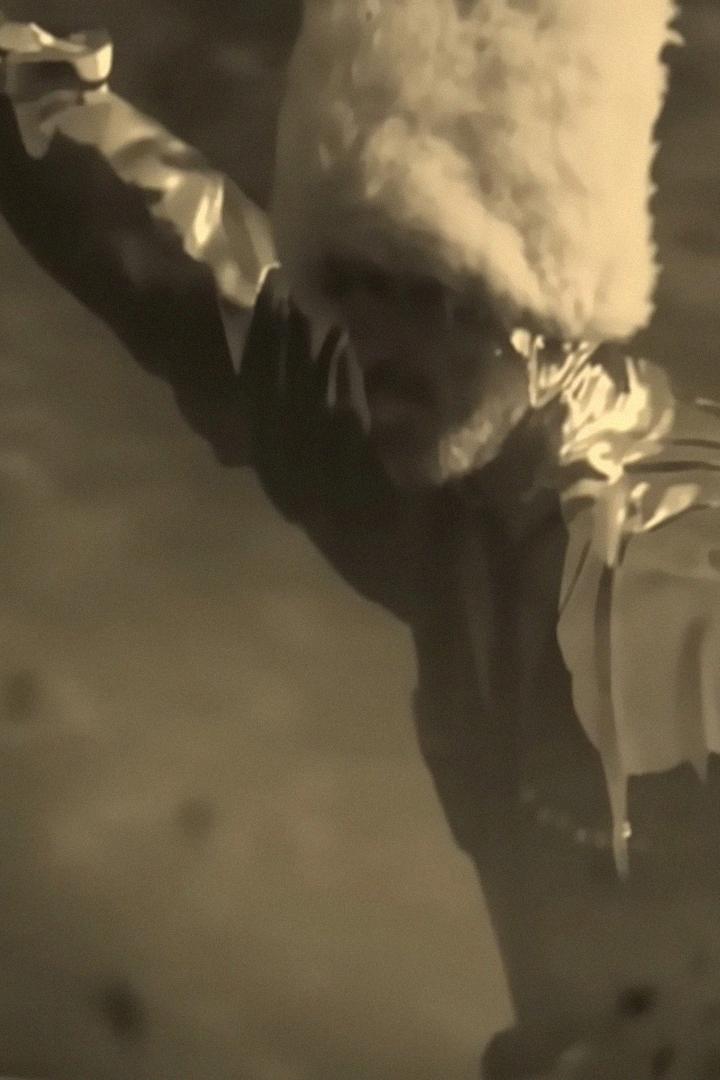 Дикая дивизия