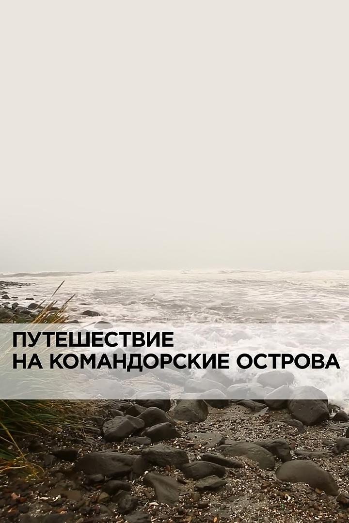 Путешествие на Командорские острова