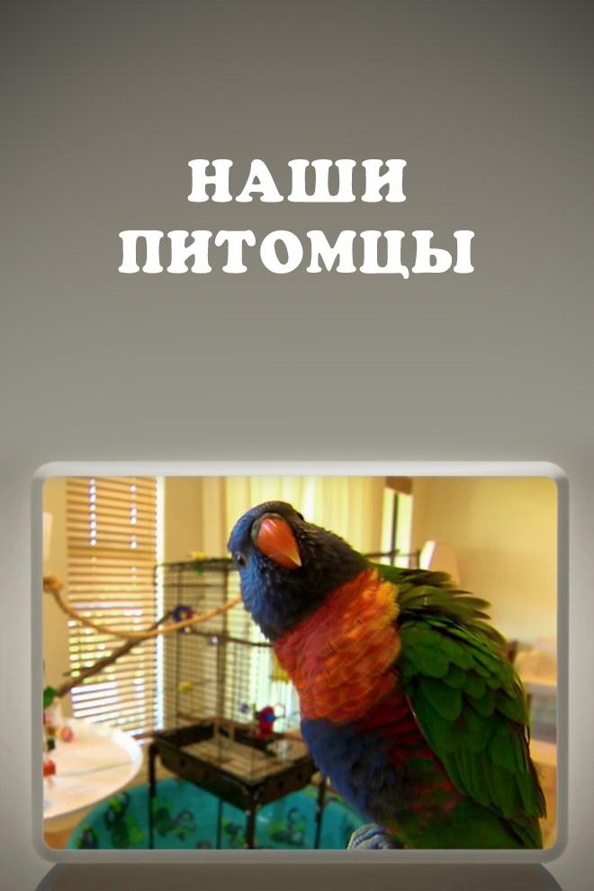 Наши питомцы