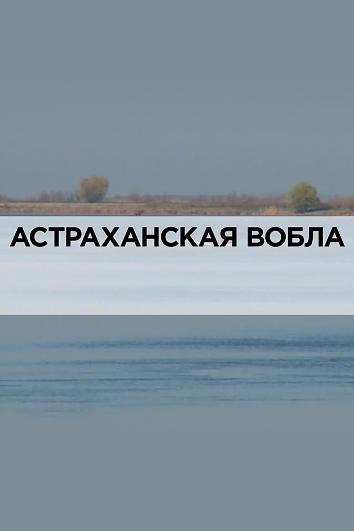 Астраханская вобла
