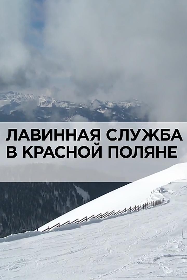 Лавинная служба в Красной Поляне