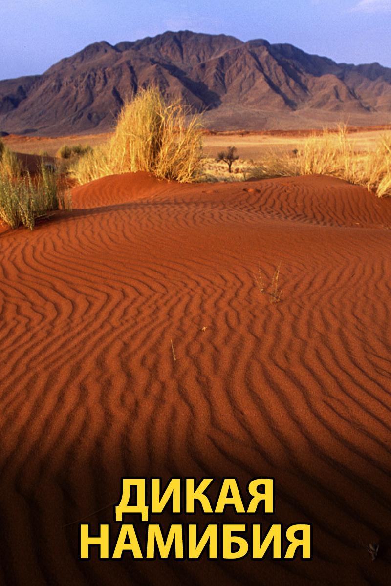 Дикая Намибия