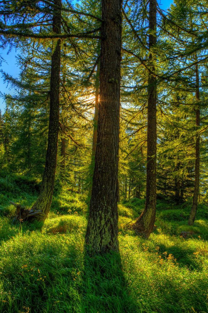 Следующая остановка