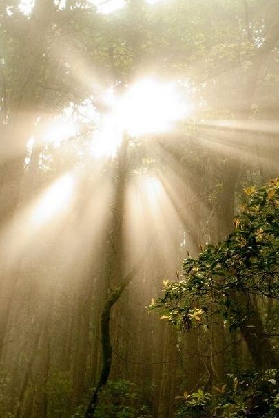 После дождя