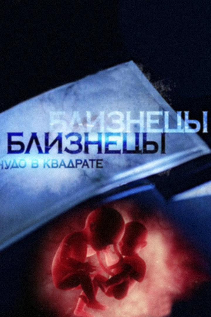 Близнецы. Чудо в квадрате