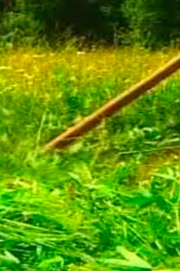 Не хочу расти одна