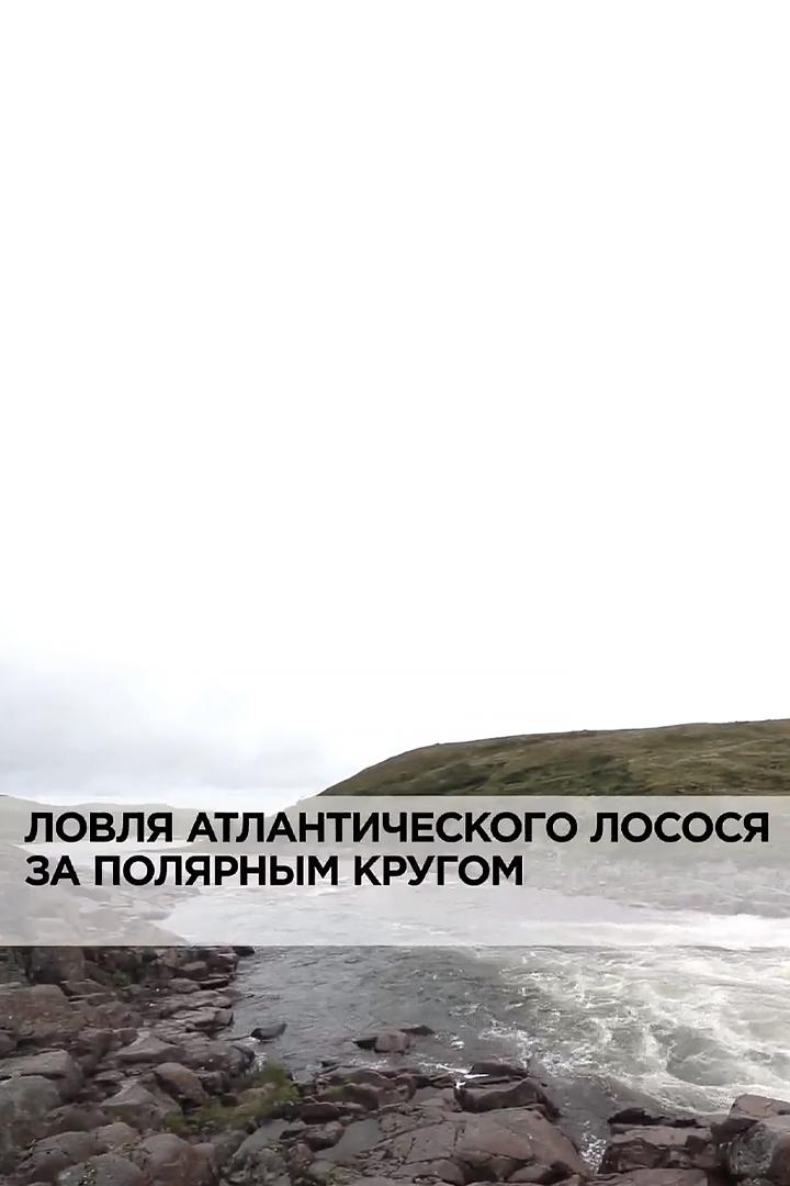 Ловля атлантического лосося за полярным кругом