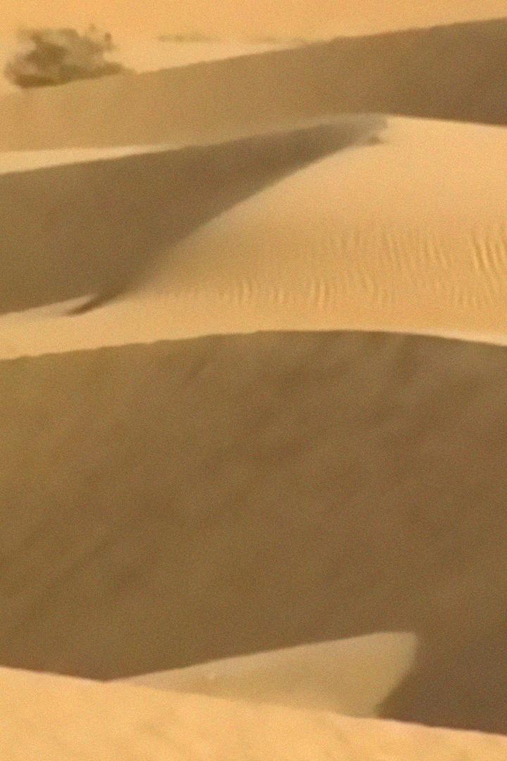 Туареги, воины в дюнах