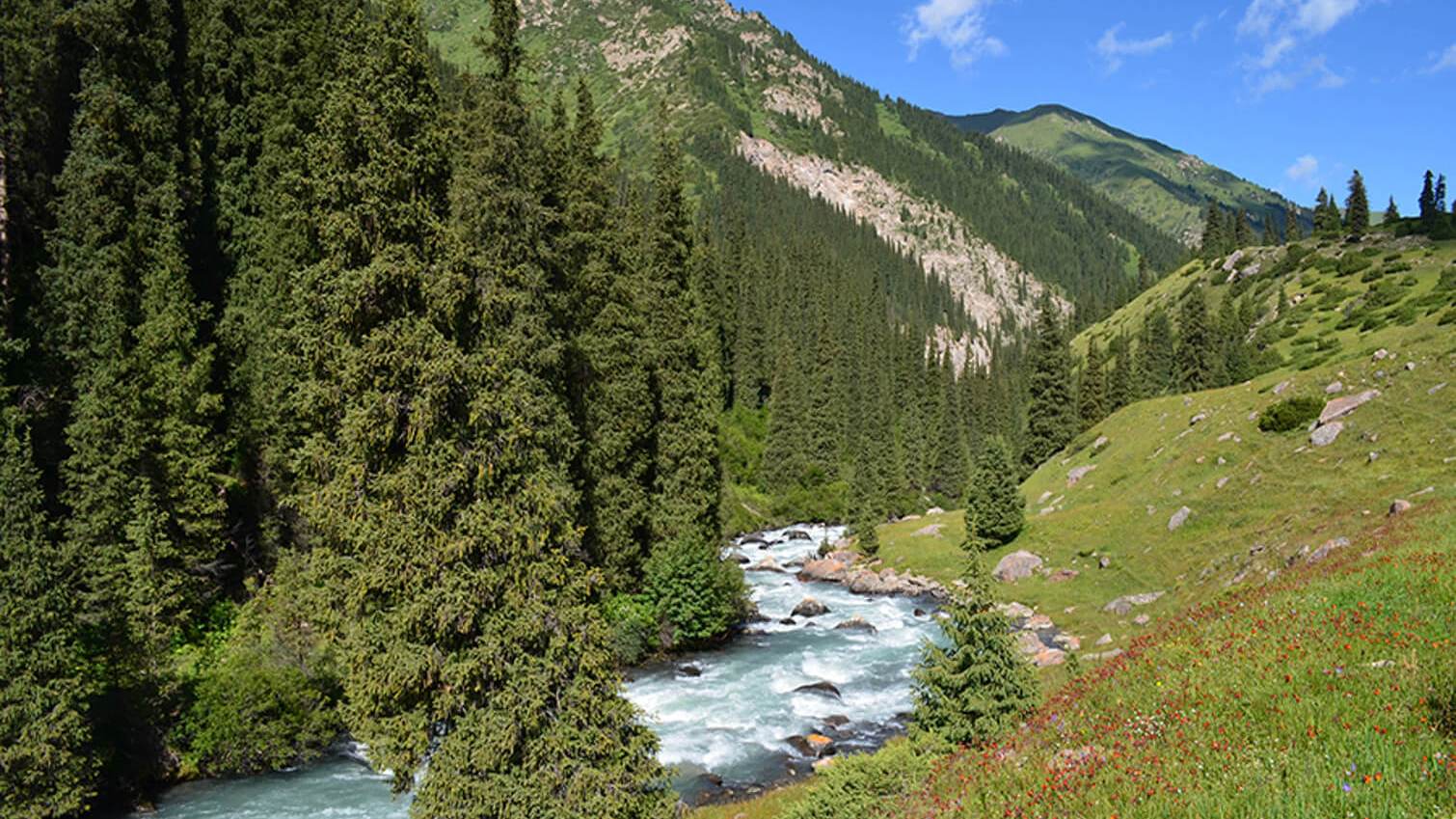 Долина реки Арашан