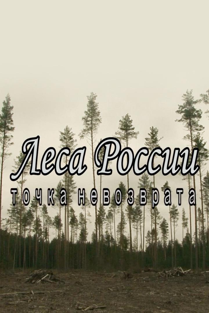 Леса России. Точка невозврата