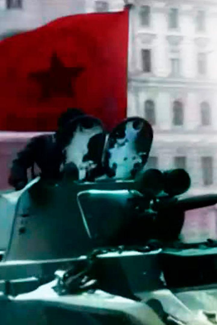 Цвет войны. Битва за Москву