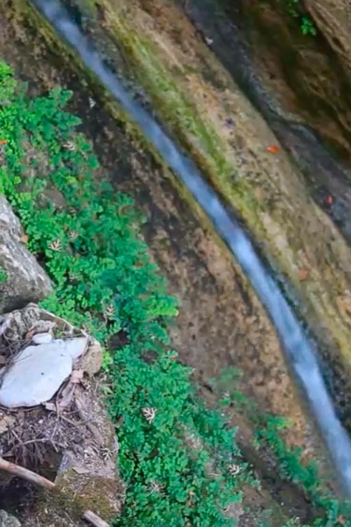 Долина бабочек