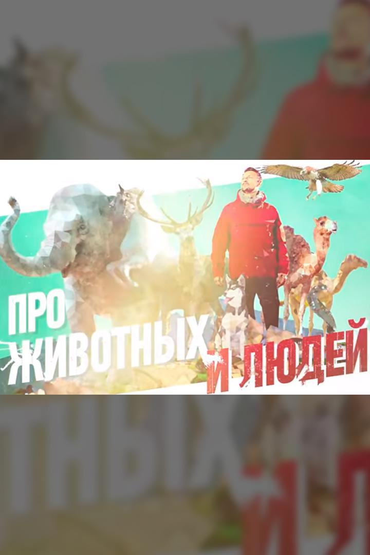 Про животных и людей