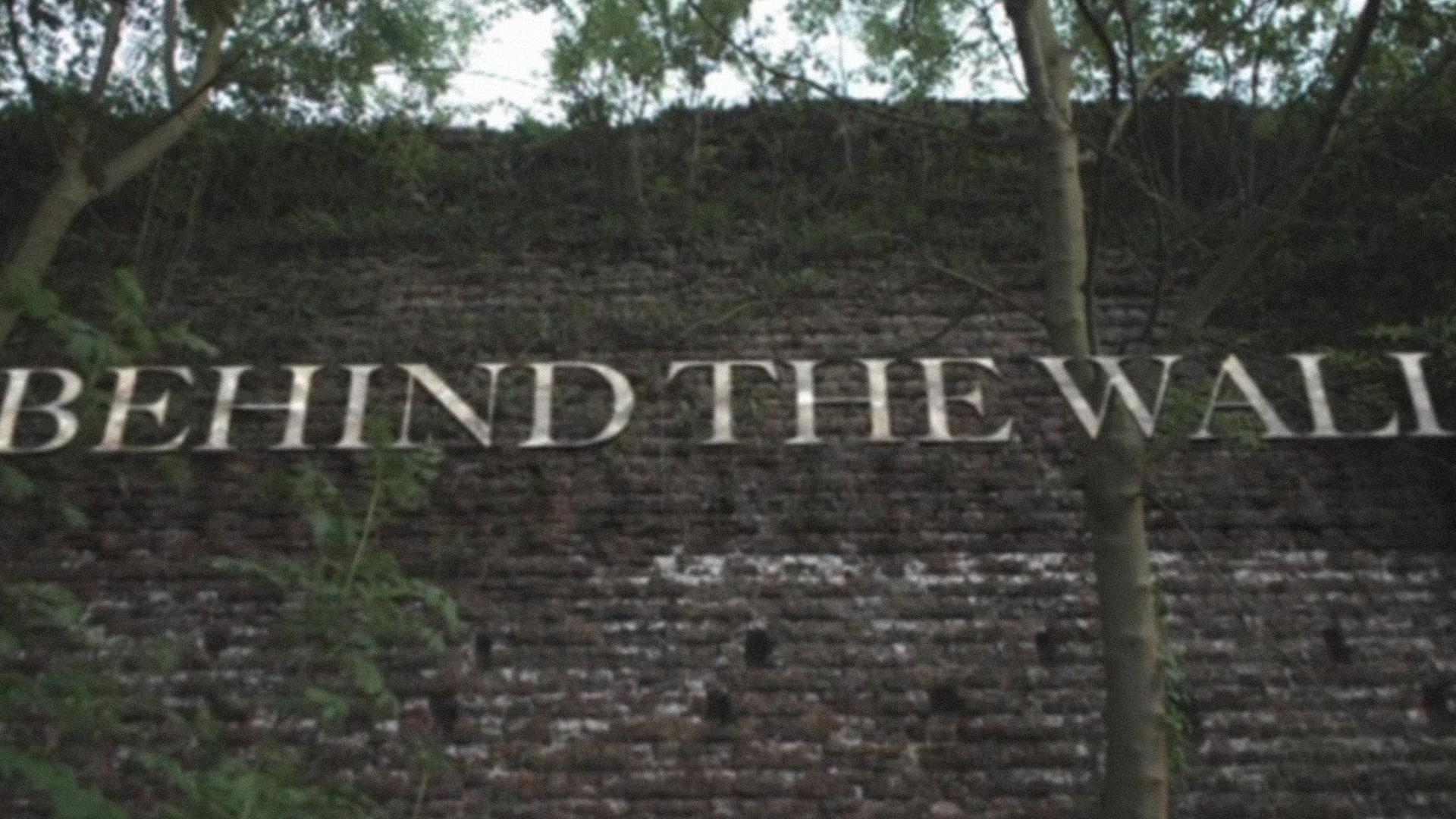 За стеной