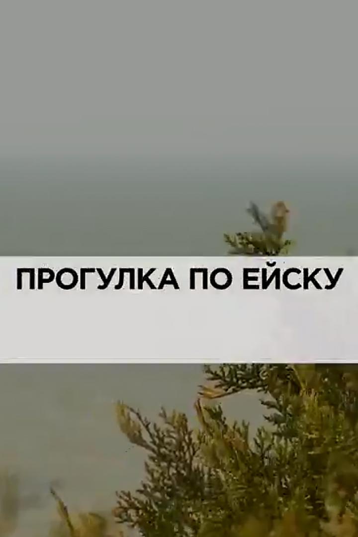 Прогулка по Ейску