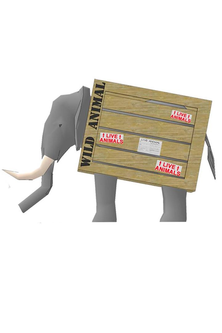 Особая доставка