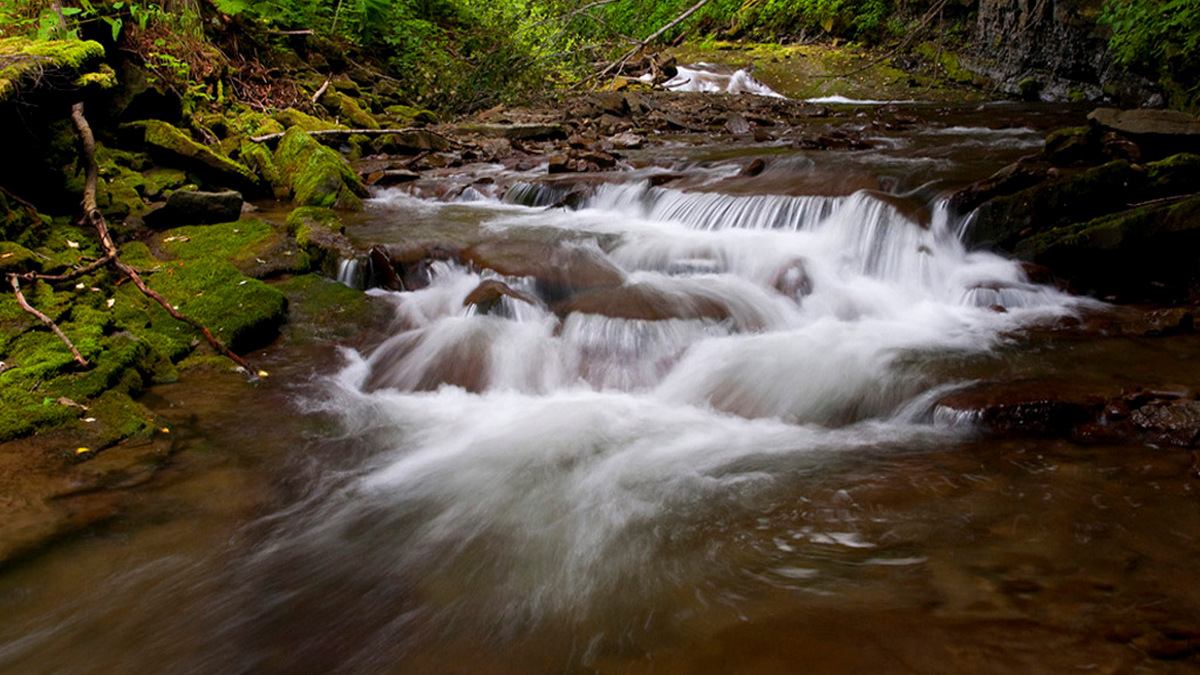 Река Скалистая
