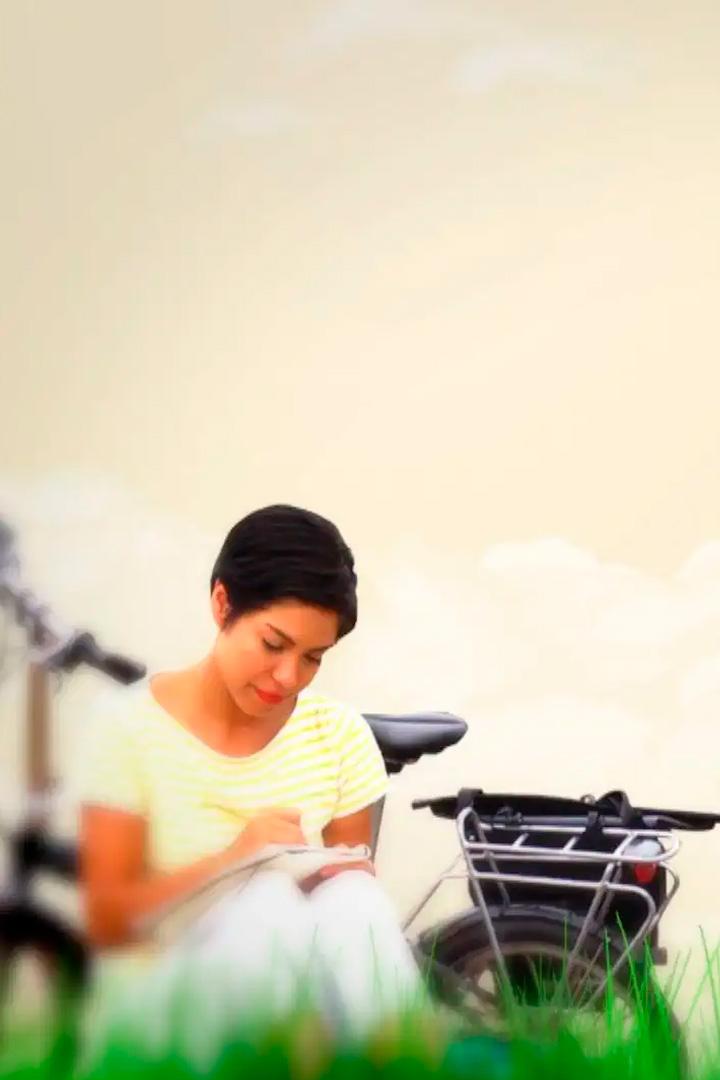 Дневники велосипедиста