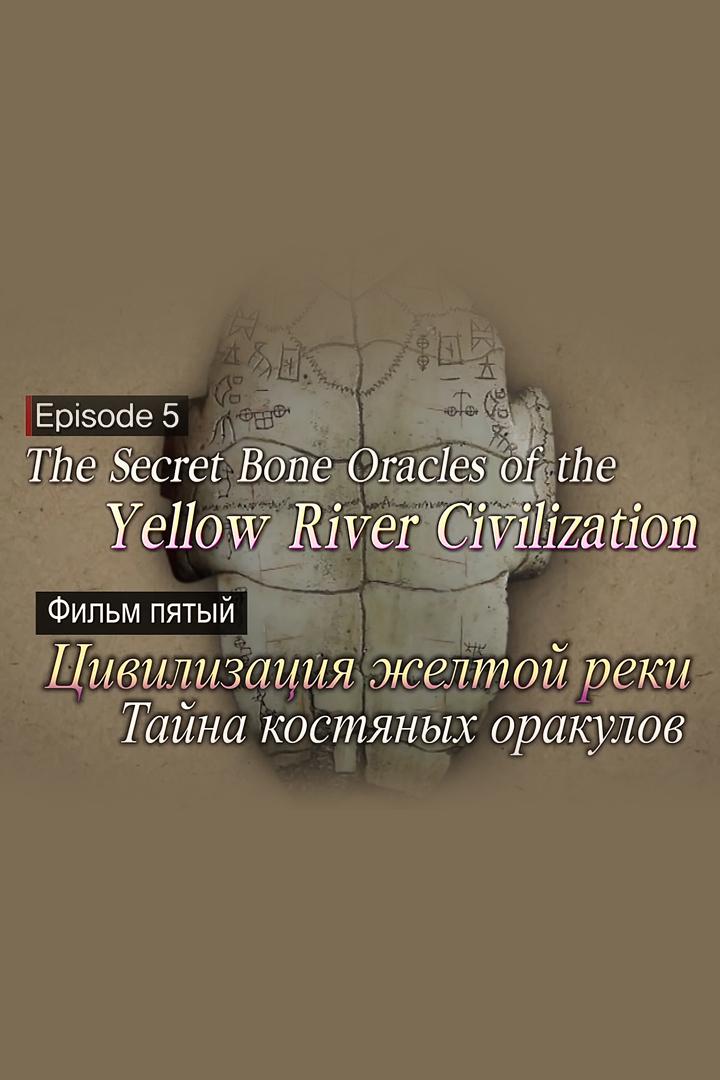 Древние цивилизации. Цивилизация Жёлтой Реки. Тайна костяных оракулов